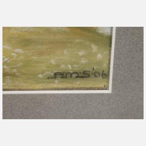 Damen in Sommerlandschaft