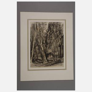 Sammlung Pferdedarstellungen