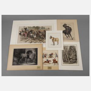 Sammlung Pferdedarstellungen
