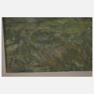 Windflüchter auf sommerlicher Düne