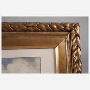 Windflüchter auf sommerlicher Düne