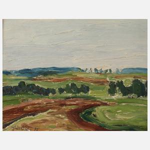 Fredo Bley, Frühlingshafte Vogtlandlandschaft