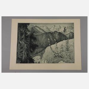 Walther Gasch, Alpenblick