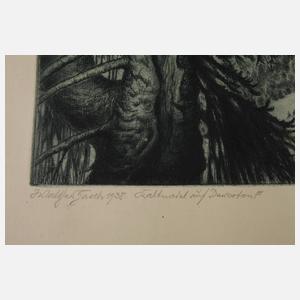 Walther Gasch, Alpenblick