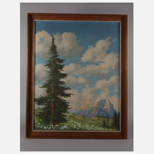 Minni Herzing, Sommerliche Gebirgswiese