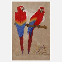 Martin Erich Philipp, "Rote Aras II"111