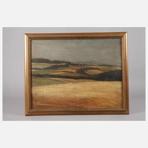 Albin Schlehahn, Sommer im Vogtland