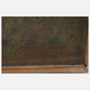 Prof. Wilhelm von Diez, Schwedenzug