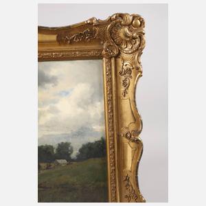 Prof. Wilhelm von Diez, Schwedenzug