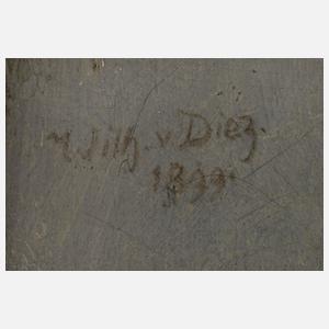 Prof. Wilhelm von Diez, Schwedenzug