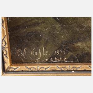 Kahle, Burg Ranis und Schloss Brandenstein