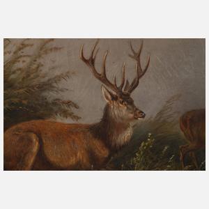 Carl Friedrich Ockert, Hirsche in Sommerlandschaft