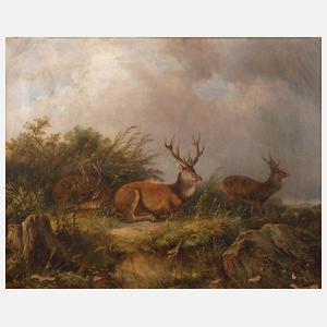 Carl Friedrich Ockert, Hirsche in Sommerlandschaft