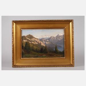 Prof. Eduard Pape, Blick vom Rigi