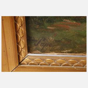 Prof. Eduard Pape, Blick vom Rigi