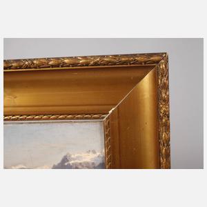 Prof. Eduard Pape, Blick vom Rigi