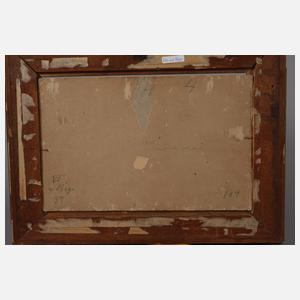 Prof. Eduard Pape, Blick vom Rigi