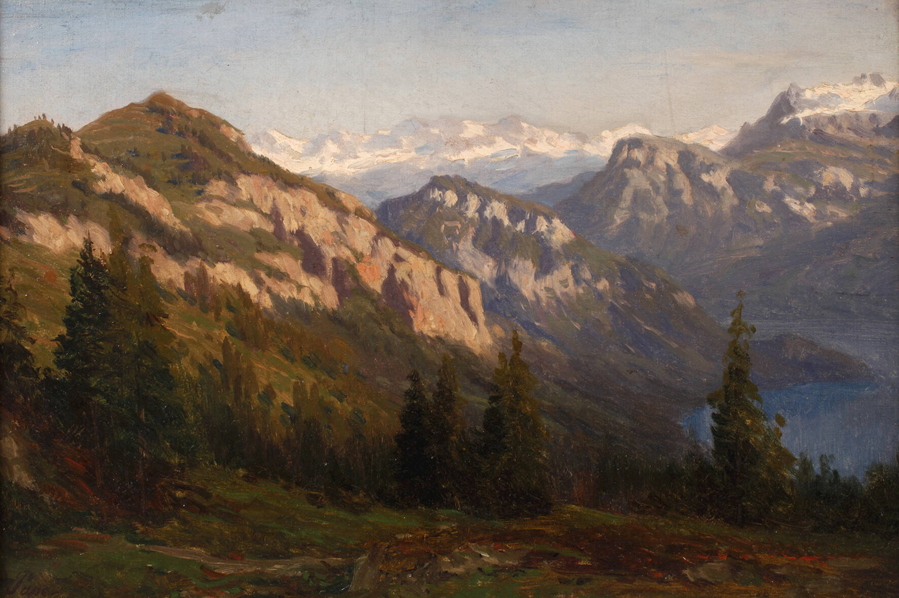 Prof. Eduard Pape, Blick vom Rigi