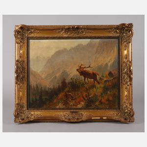 Robert Schietzold, Hirsch im Gebirge