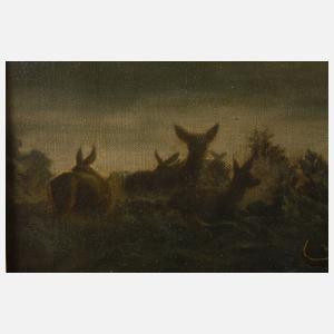 Alois Stoff, Rotwild