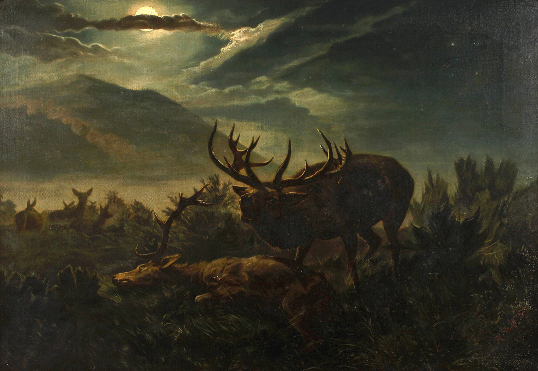 Alois Stoff, Rotwild