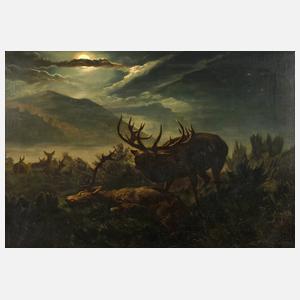 Alois Stoff, Rotwild