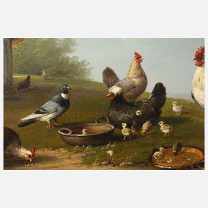 Wanderndonk, Auf dem Hühnerhof