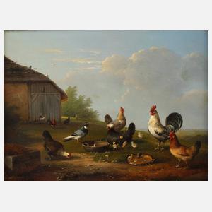 Wanderndonk, Auf dem Hühnerhof