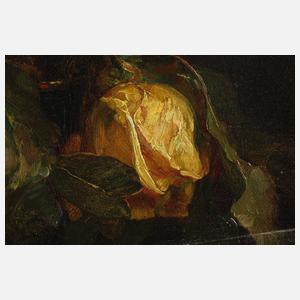 Marianne Wille, Rosenstillleben