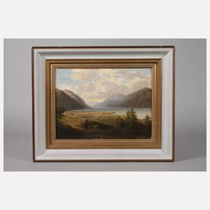 Sommerliche Alpenlandschaft mit See