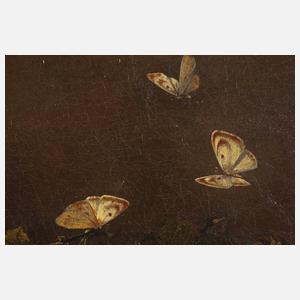 Früchtestillleben mit Kürbis