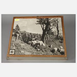 Leo Abramowicz, attr., Boulevardszene