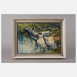 Prof. Otto Ackermann-Pasegg, Enten am Seeufer