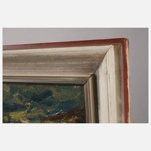 Prof. Otto Ackermann-Pasegg, Enten am Seeufer