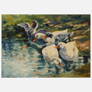 Prof. Otto Ackermann-Pasegg, Enten am Seeufer