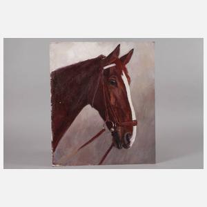 Hellmut Bachrach-Barée, Pferdeportrait