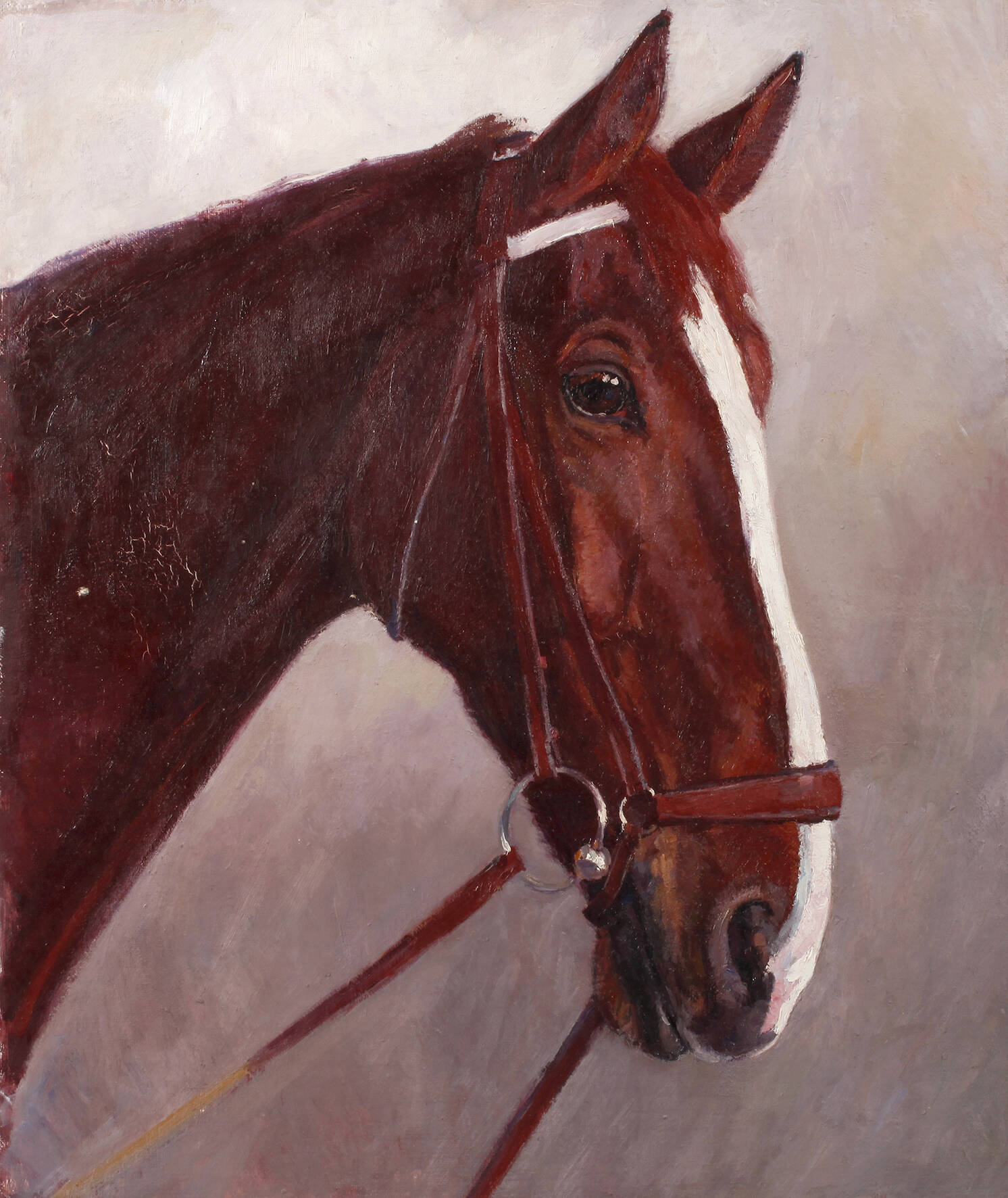 Hellmut Bachrach-Barée, Pferdeportrait