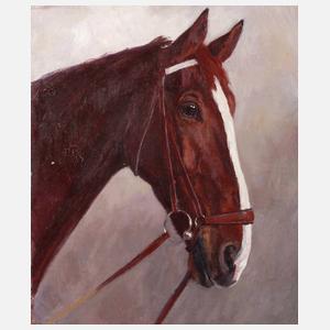 Hellmut Bachrach-Barée, Pferdeportrait