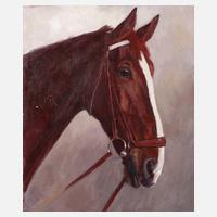 Hellmut Bachrach-Barée, Pferdeportrait111