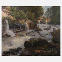 Gustav Bauer, Die Mühle am Wehr111