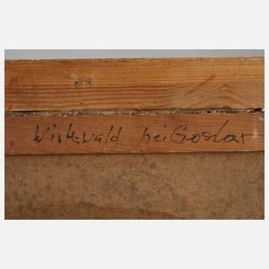 Alexander Frädrich, "Winterwald bei Goslar"