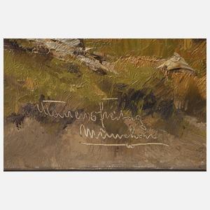 Clemens Freitag, Ansicht Frauenchiemsee