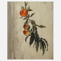 Hans Gebelein, Pfirsichzweig111