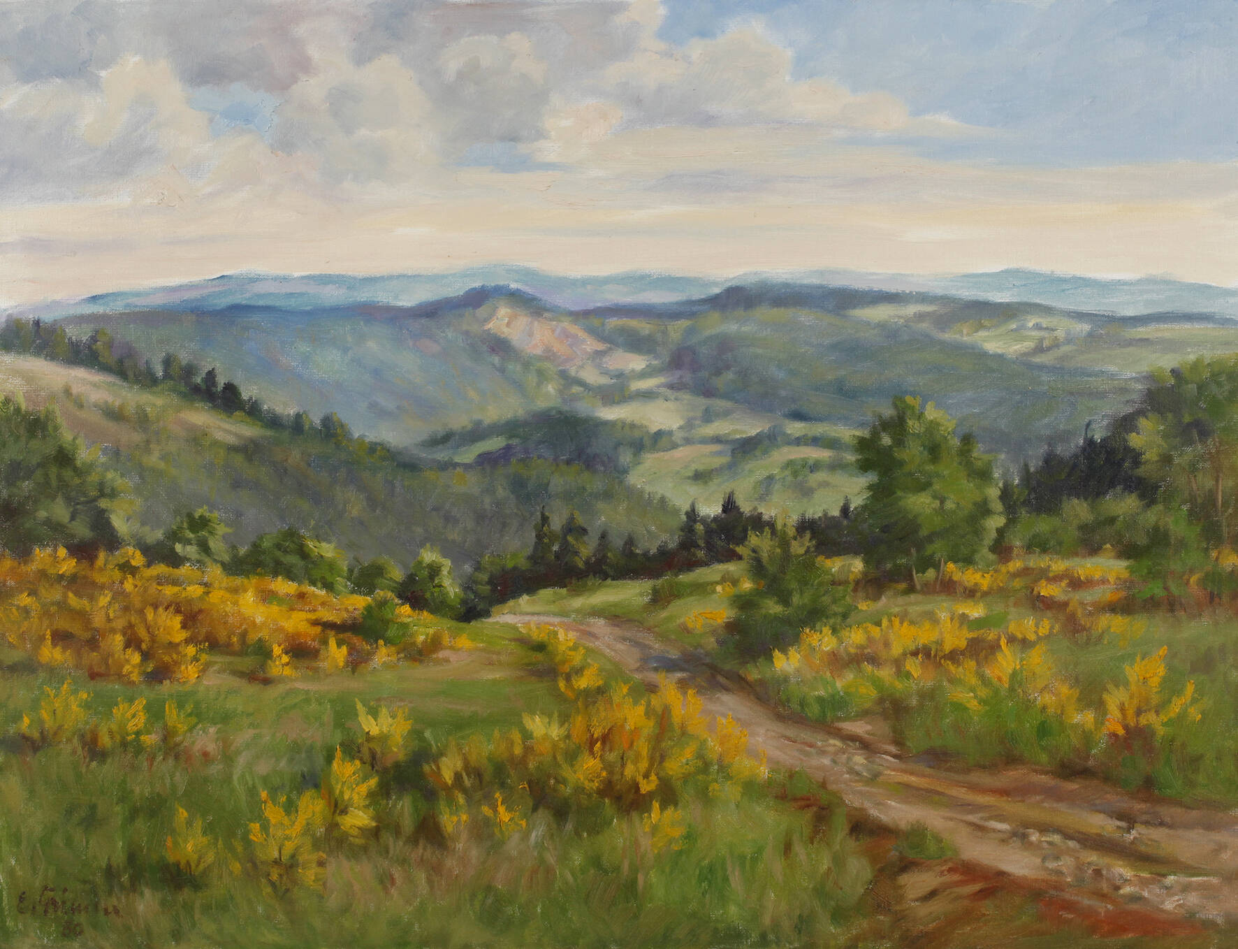 E. Grimm, Sommer im Mittelgebirge