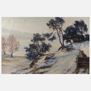 Willy Herrmann, winterliche Havellandschaft