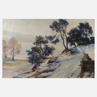 Willy Herrmann, winterliche Havellandschaft111