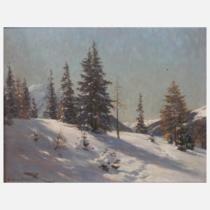 Franz Holper, Wintertag