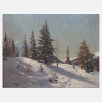 Franz Holper, Wintertag111