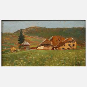 Menegazzi, Blühende Wiese am Bauernhof