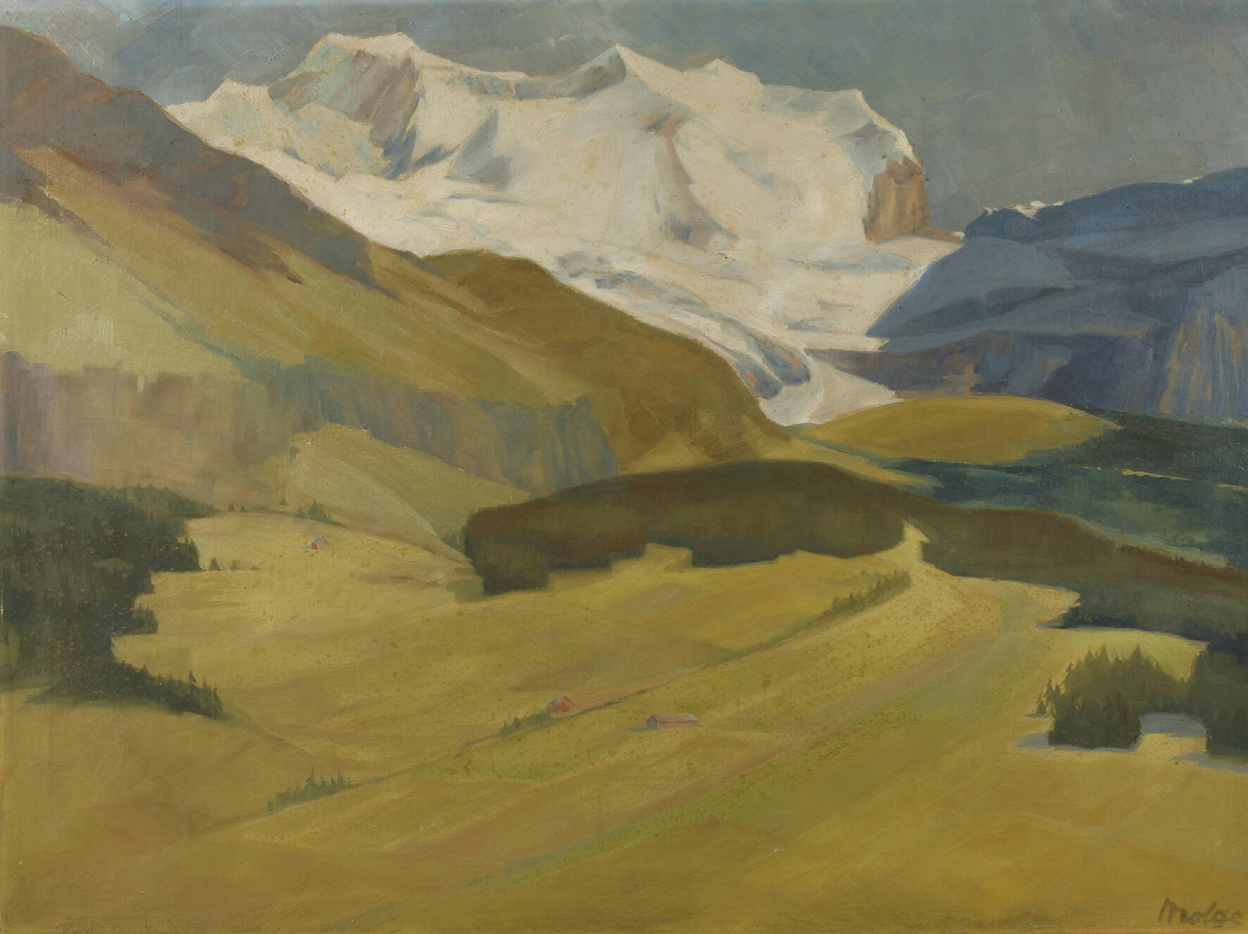 Molge, Sommer in den Alpen